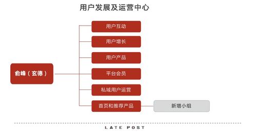 淘寶天貓融合 產(chǎn)品與運(yùn)營(yíng)策略的協(xié)同攻堅(jiān)